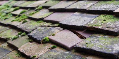 Studham roof repair costs